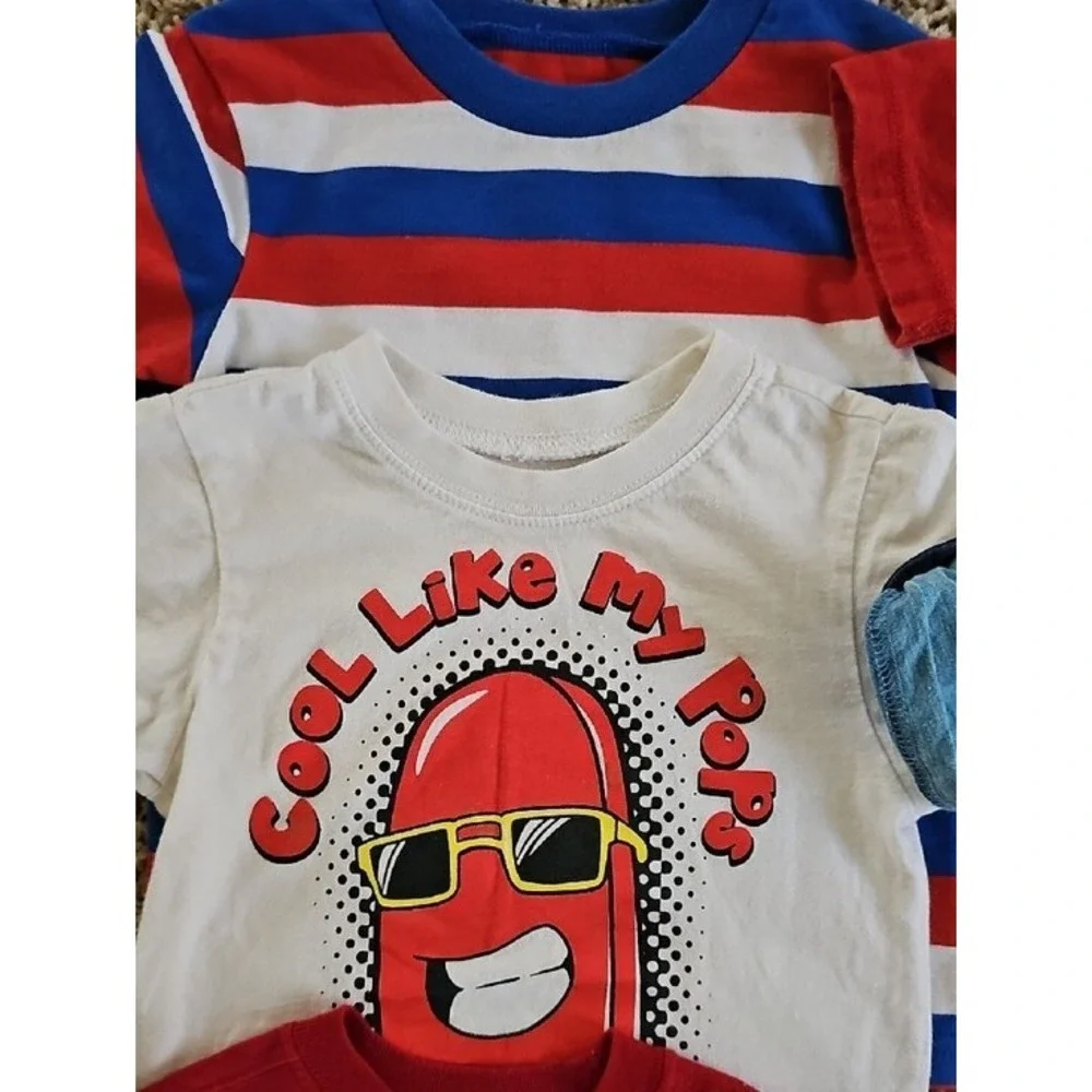 Toddler Boys 2T-3T Clothing Lot 11pc Graphic Tees Plaid Shirt Cargo Pants Mixed